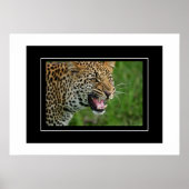 Poster Leopard (Voorkant)