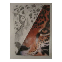 Poster leopard