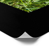 Poster leopard (Hoek)