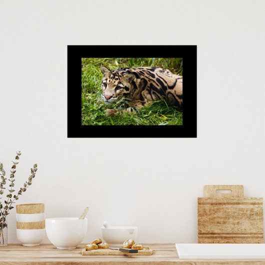 Poster leopard (Keuken)