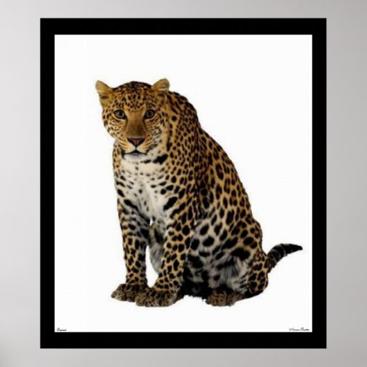 Poster leopard (Voorkant)