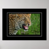 Poster Leopard (Voorkant)