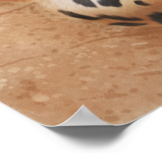 Poster leopard (Hoek)