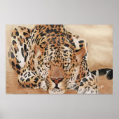 Poster leopard (Voorkant)