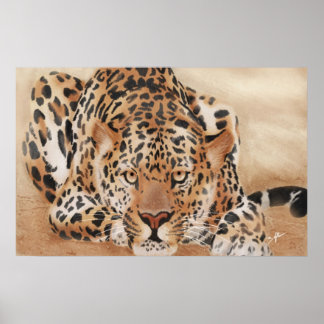Poster leopard