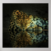 Poster leopard (Voorkant)