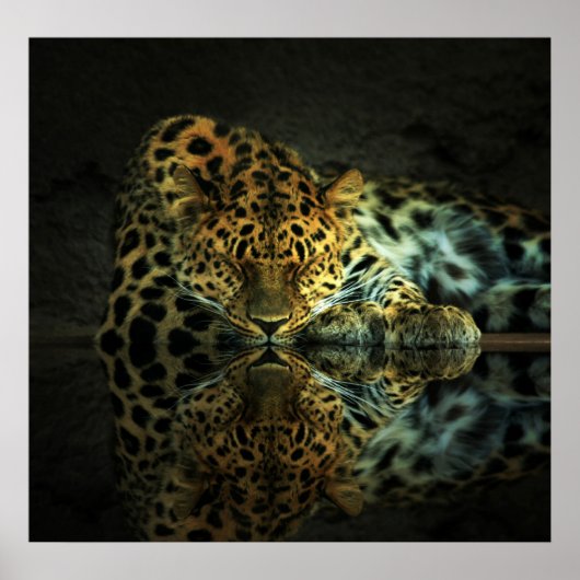 Poster leopard (Voorkant)