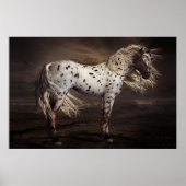 Poster Leopard Appaloosa (Voorkant)