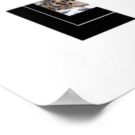 Poster-Leopard Poster (Hoek)