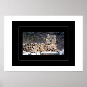 Poster-Leopard Poster