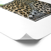 Poster-Leopard Poster (Hoek)