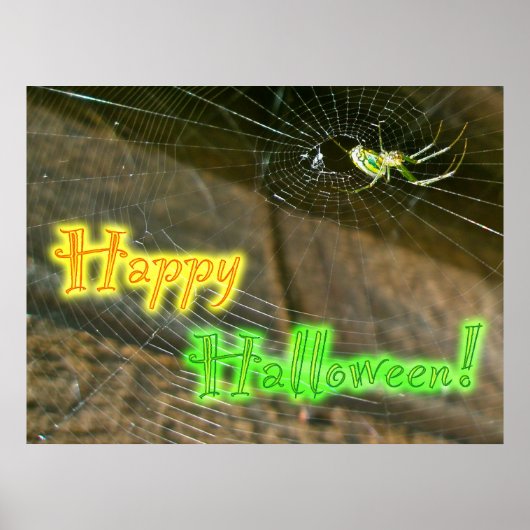 Poster Leucauge Orb Weaver Halloween (Voorkant)
