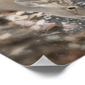 Poster levende wateren (Hoek)