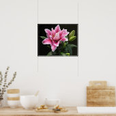 Poster-Lily Flower Poster (Keuken)