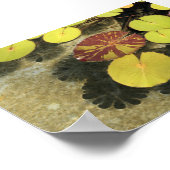Poster Lilypads (Hoek)