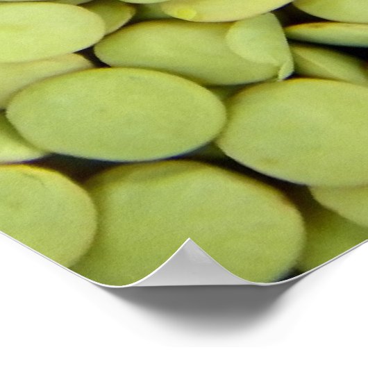 Poster linzen (Hoek)