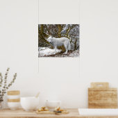 poster "Lone Wolf" (Keuken)