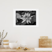 Poster Lotus (Keuken)