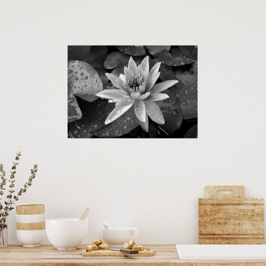 Poster Lotus (Keuken)