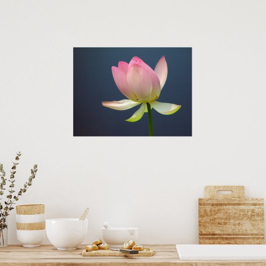 Poster Lotus Flower (Keuken)