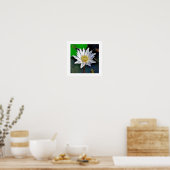 POSTER LOTUS FLOWER ART (Keuken)