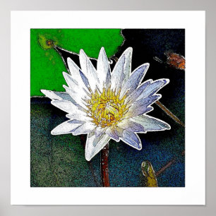 POSTER LOTUS FLOWER ART