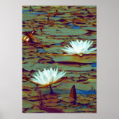 Poster Lotus Flowers (Voorkant)