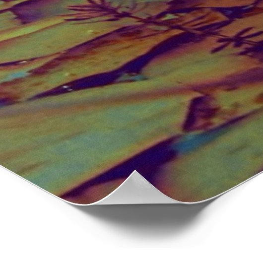 Poster Lotus Flowers (Hoek)