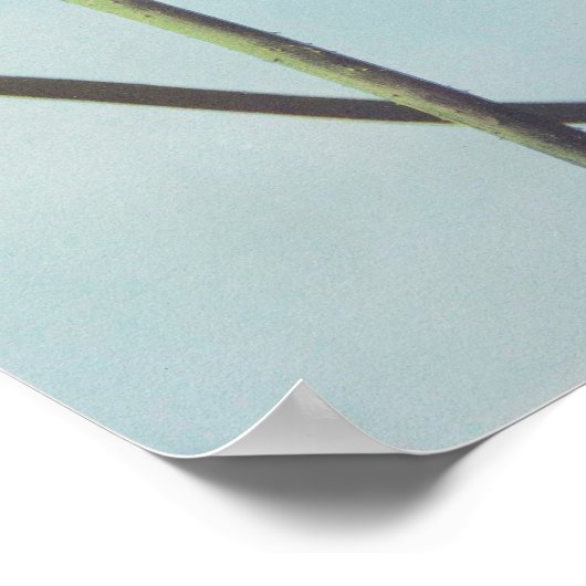 Poster Lotusbloem (Hoek)