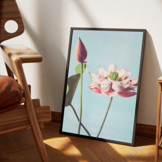 Poster Lotusbloem