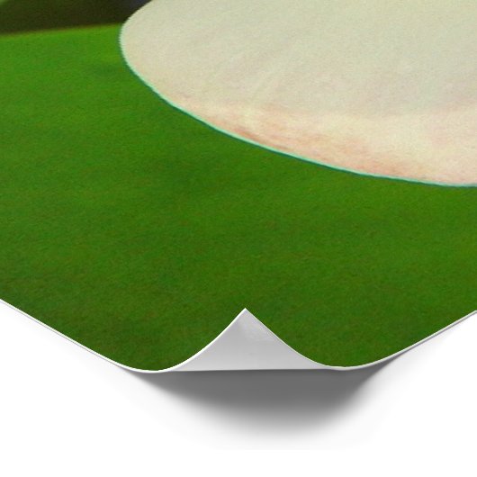 poster lotusbloem (Hoek)