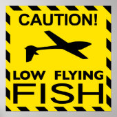 poster "low Flying Fish" (Voorkant)