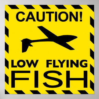poster "low Flying Fish"