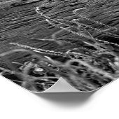 Poster/luipaarden in de ruimte poster (Hoek)