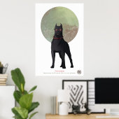 Poster M&S-perziken - Kunst van Mona Finden (Thuiskantoor)