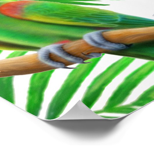 Poster Macaw Oerwoud (Hoek)