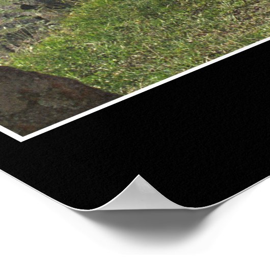 Poster Machu Picchu (zeven wereldwonderen) (Hoek)