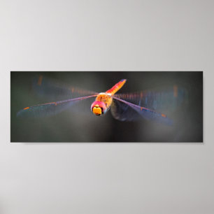 Poster Macro Dragonfly tijdens de vlucht