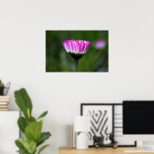 Poster Madeliefje Fotografie (Thuiskantoor)
