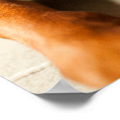 Poster Magyar Vizsla verschiedene Größen! (Hoek)