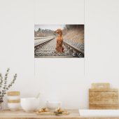 Poster Magyar Vizsla verschiedene Größen! (Keuken)