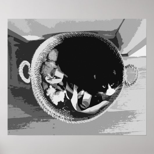 Poster mandje (Voorkant)