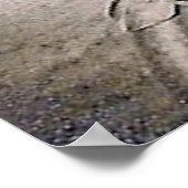 poster Mannen Riding Motorcycle 1920 (Hoek)