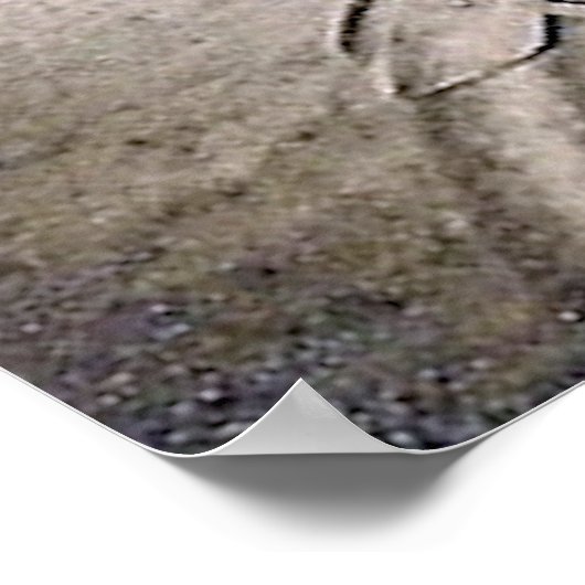 poster Mannen Riding Motorcycle 1920 (Hoek)