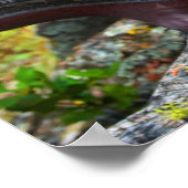 Poster Manzanita (Hoek)