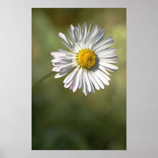 Poster Margriet Bloem Natuur fotografie (Voorkant)