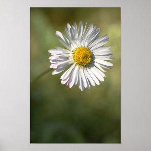Poster Margriet Bloem Natuur fotografie