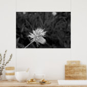 Poster Maria fecha a porta  - danificada (Keuken)