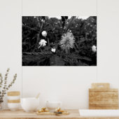 Poster Maria fecha a porta  - dark (Keuken)