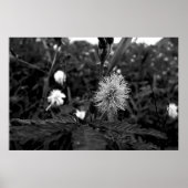 Poster Maria fecha a porta  - dark (Voorkant)